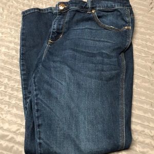 Lane Bryant Melissa McCarthy’s skinny jeans 20w